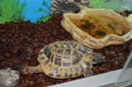 Fotografie školky Jaselská - 3